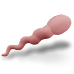 Vaginalstimulator von Ben1985 Vaginalstimulator von Ben1985